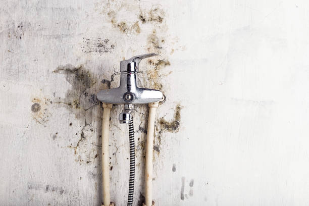 Reliable Chambersburg, PA Mold Removal Solutions