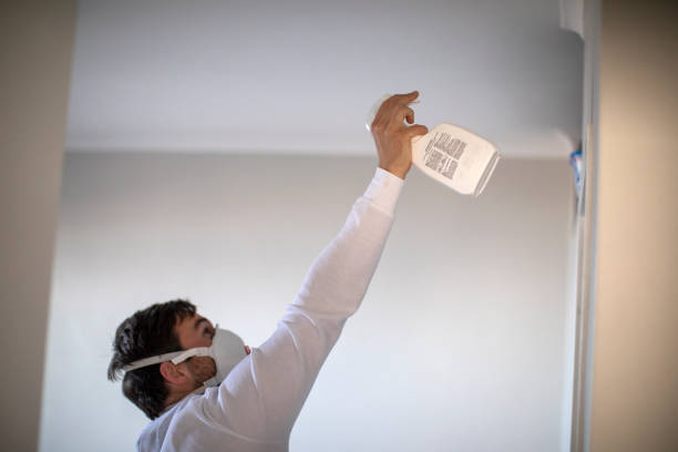 Best Mold Testing  in Chambersburg, PA