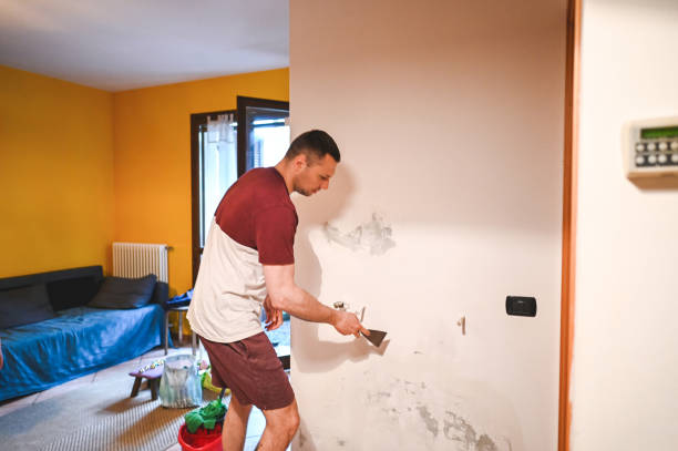 Best Black Mold Removal  in Chambersburg, PA